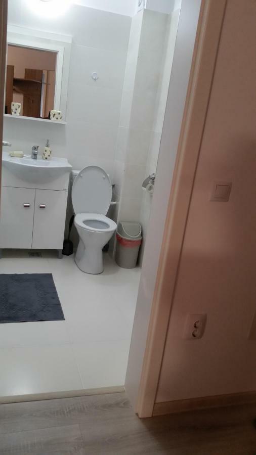 Kolonaki Domus Apartment Iasi Buitenkant foto