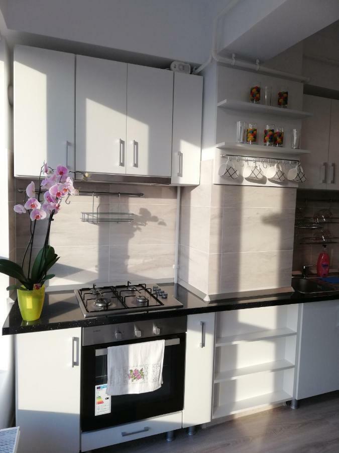 Kolonaki Domus Apartment Iasi Buitenkant foto